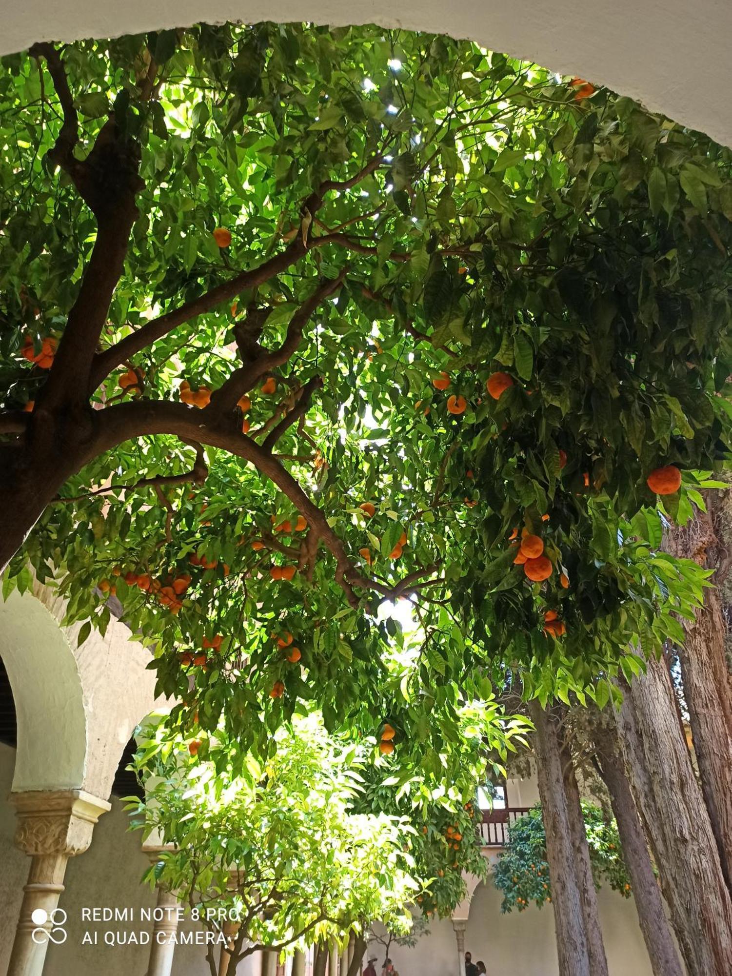 Villa Susana Torrevieja Dış mekan fotoğraf